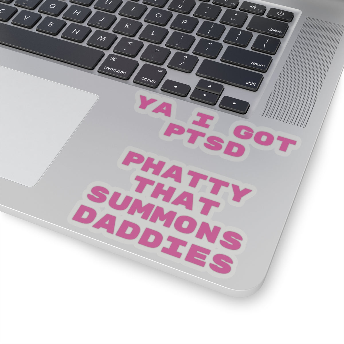 P.T.S.D. Stickers